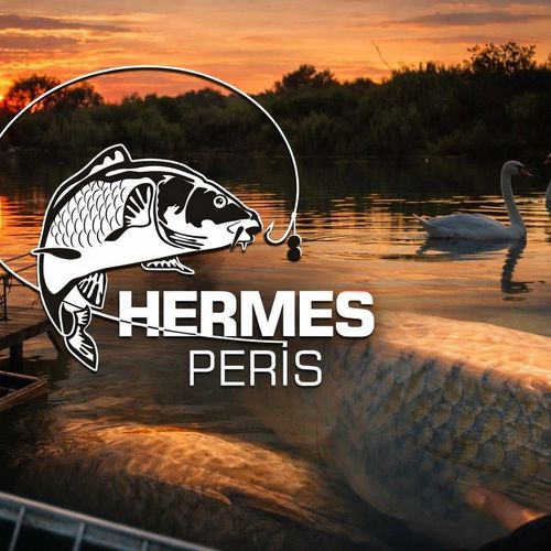 Afiș CUPA HERMES