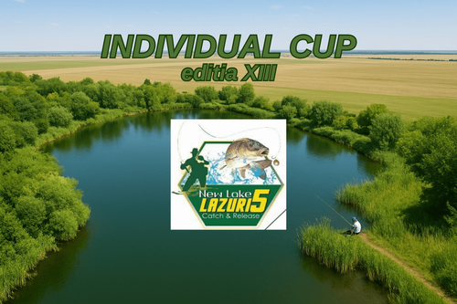Afiș Individual CUP - Editia XIII