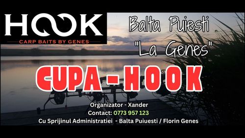Afiș Cupa HOOK - Editia III 