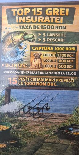 Afiș 15 grei de Insuratei