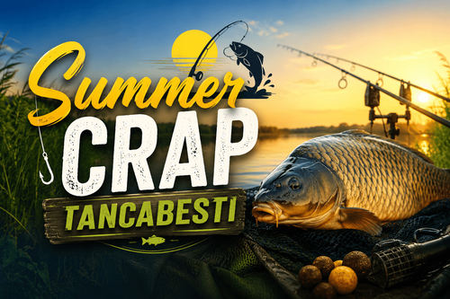 Afiș Summer Carp Tancabesti