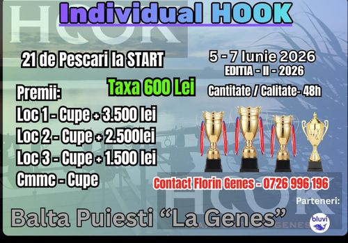 Afiș Individual HOOK - editia II