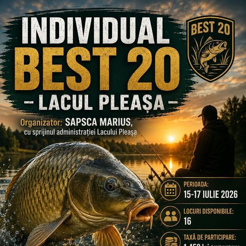 Afiș Individual BEST 20