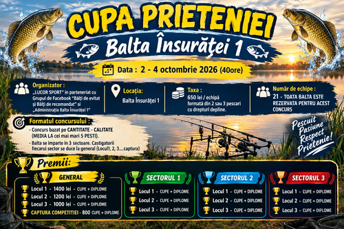 Afiș CUPA PRIETENIEI BALTA ÎNSURĂȚEI