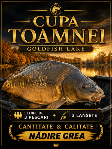 Afiș Cupa Toamnei
