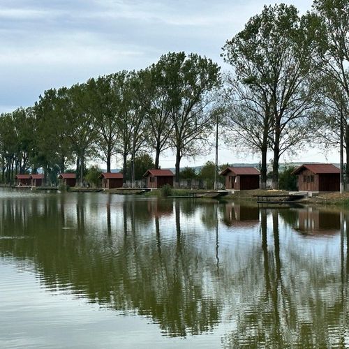 Afiș 🎣 Concurs de Pescuit – Proțap Fest – Ediția 1